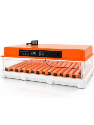 [EVO-120] Evonest 120 Yumurtalık Kuluçka Makinesi | Çift Katlı Turuncu Model