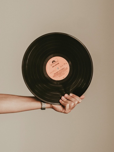 Vinyl — Akustik Koleksiyon Plağı